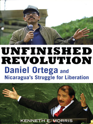 cover image of Unfinished Revolution